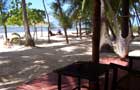 the view from the terrace